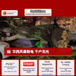华西风暴断电 千户无光