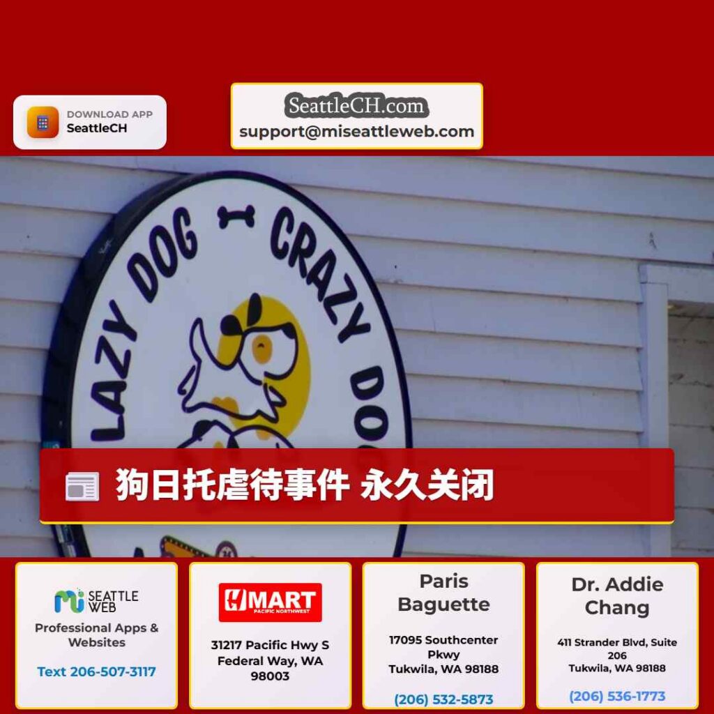 狗日托虐待事件 永久关闭