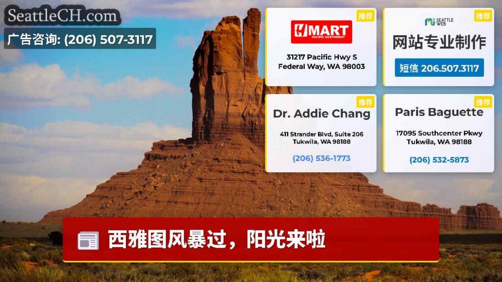 西雅图风暴过，阳光来啦