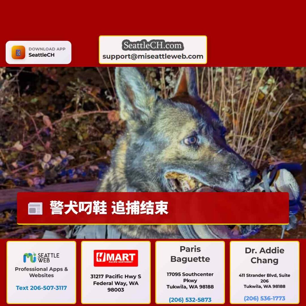 警犬叼鞋 追捕结束