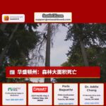 华盛顿州:森林大面积死亡