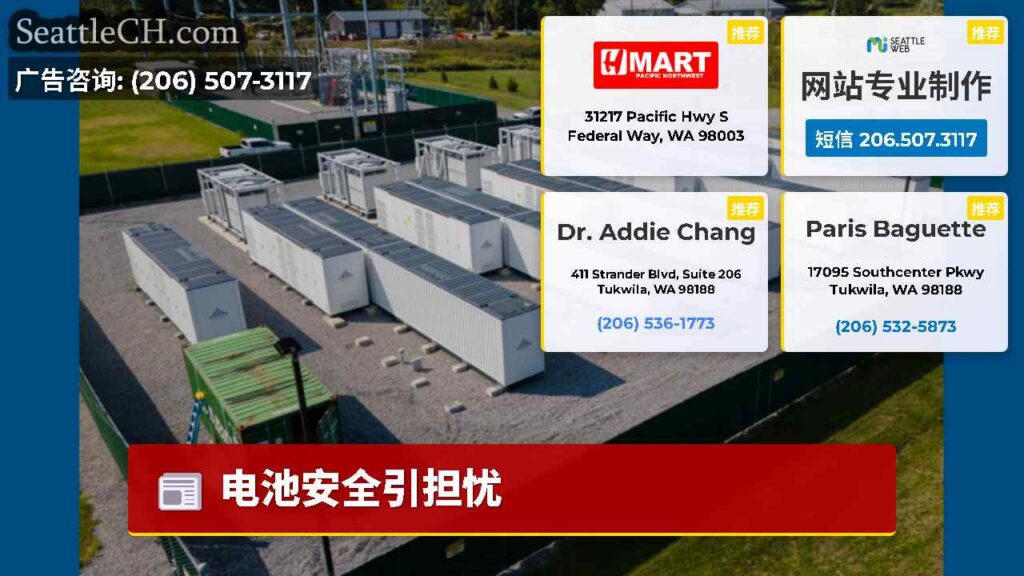 电池安全引担忧