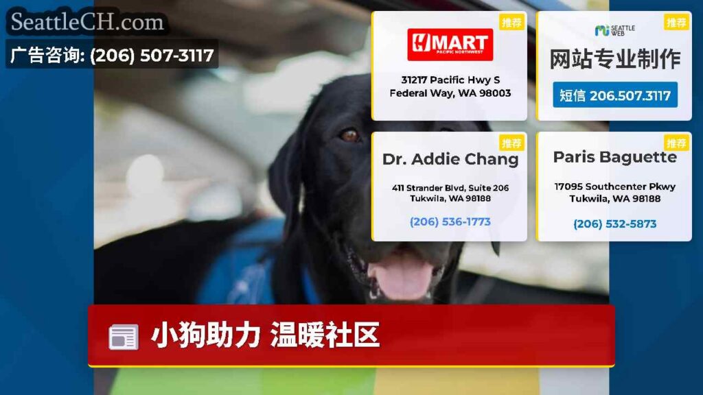 小狗助力 温暖社区