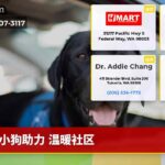 小狗助力 温暖社区