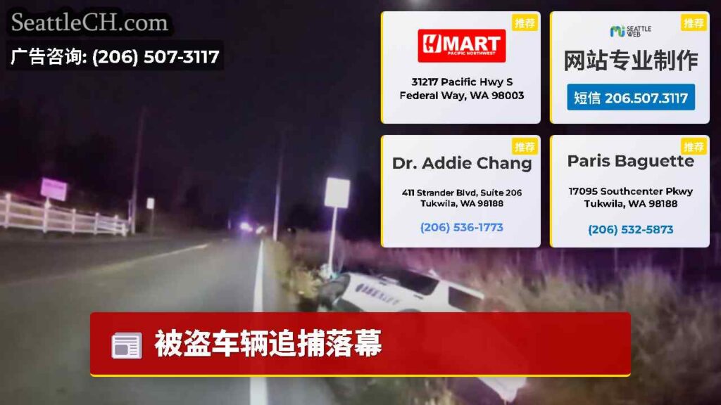 被盗车辆追捕落幕