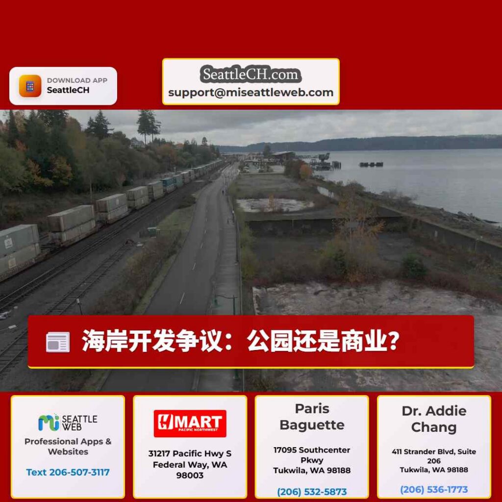 海岸开发争议:公园还是商业?