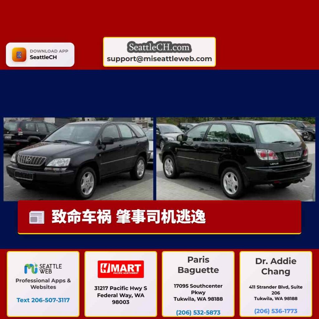 致命车祸 肇事司机逃逸