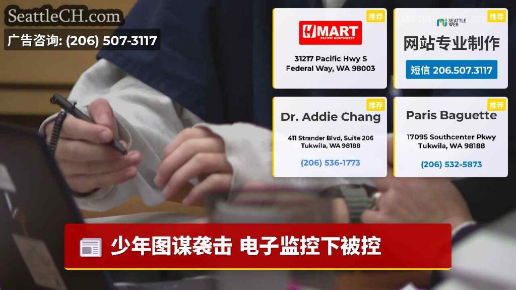 少年图谋袭击 电子监控下被控