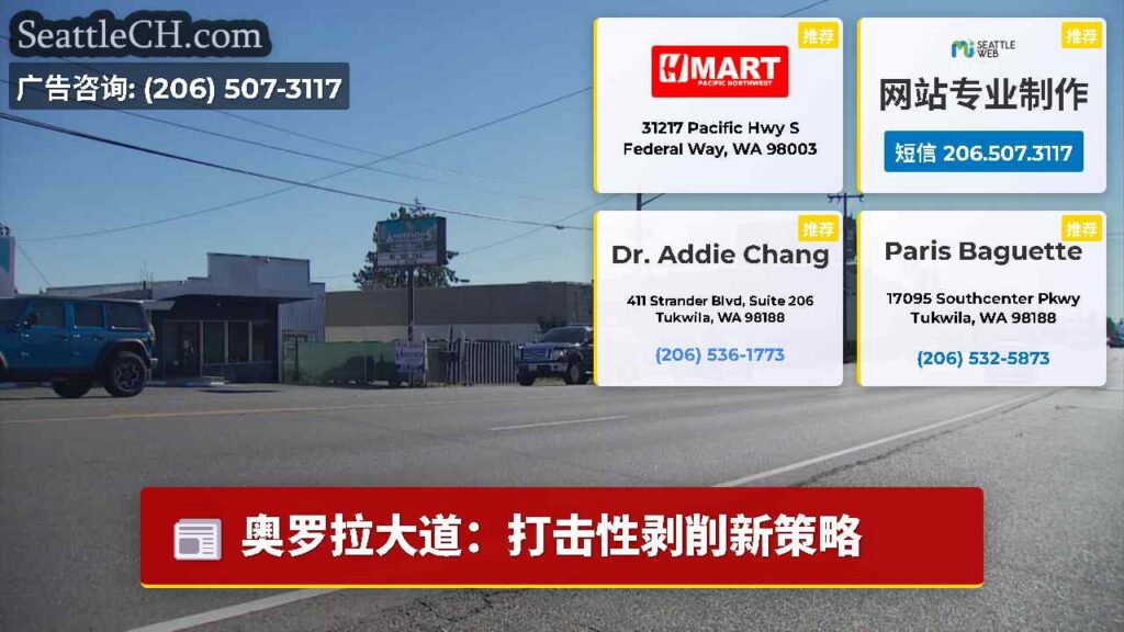 奥罗拉大道：打击性剥削新策略