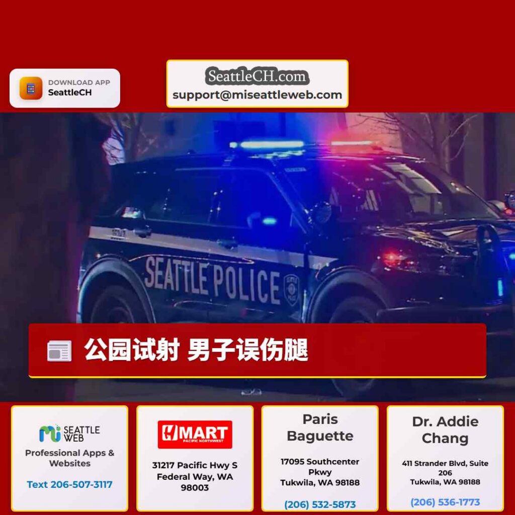 公园试射 男子误伤腿