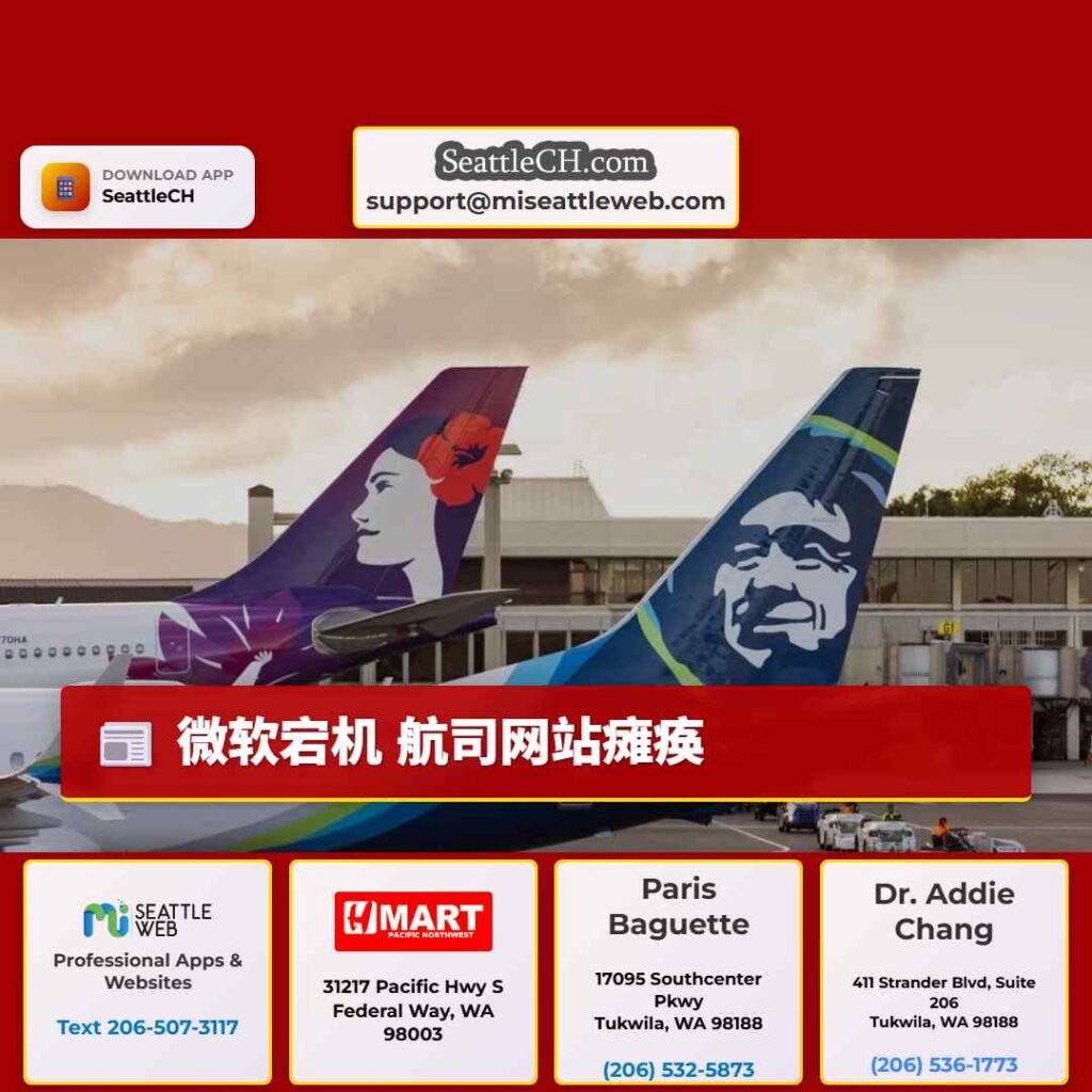 微软宕机 航司网站瘫痪