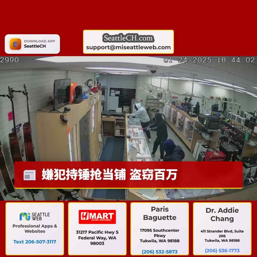 嫌犯持锤抢当铺 盗窃百万