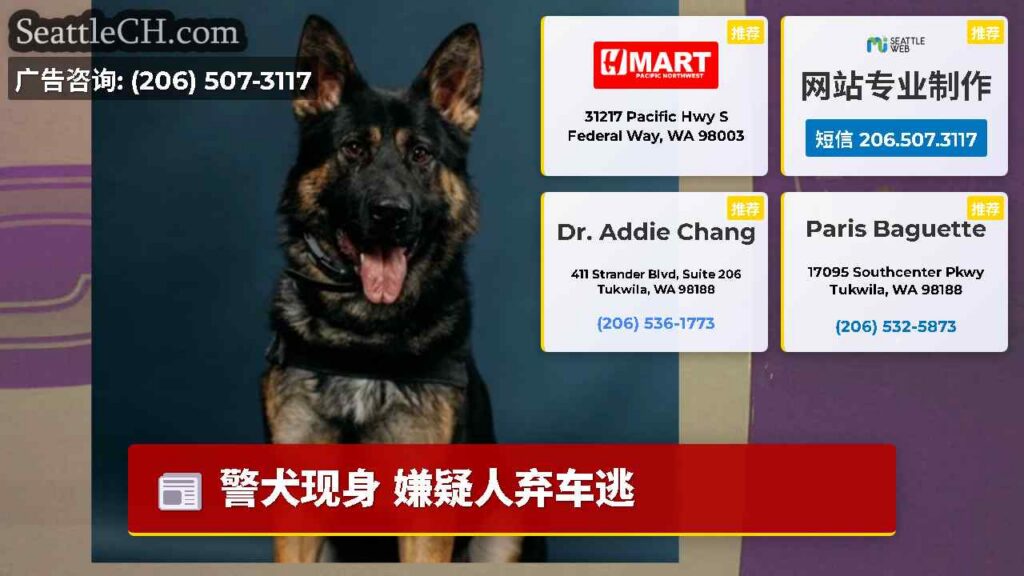 警犬现身 嫌疑人弃车逃