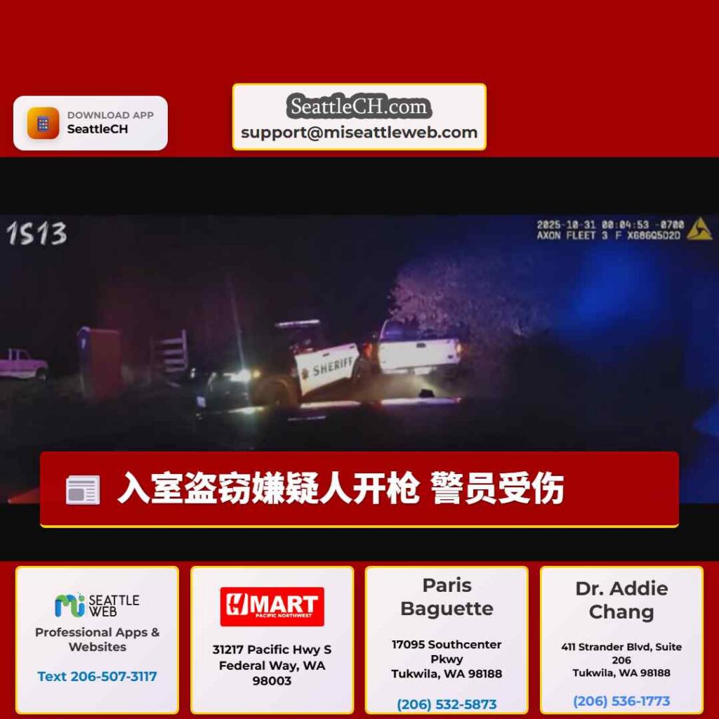 入室盗窃嫌疑人开枪 警员受伤