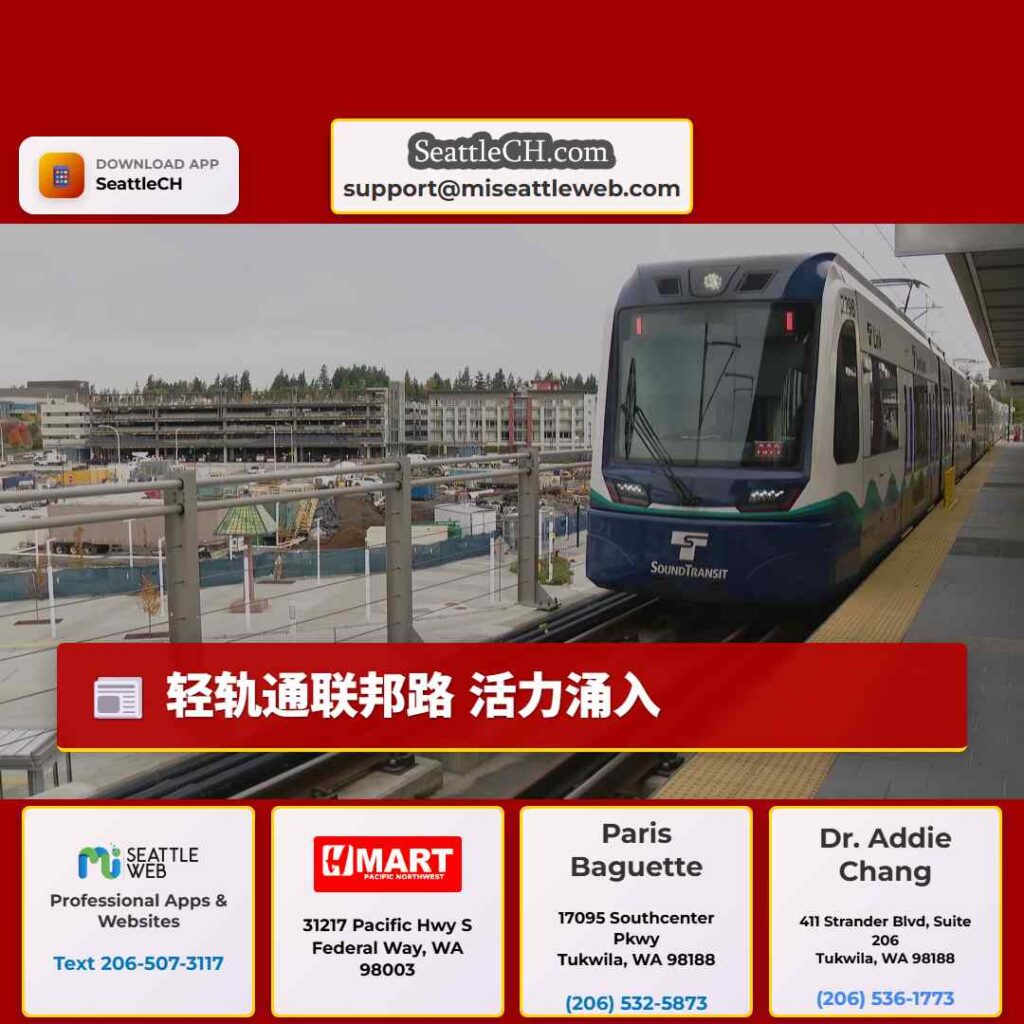 轻轨通联邦路 活力涌入