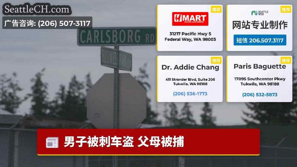 男子被刺车盗 父母被捕