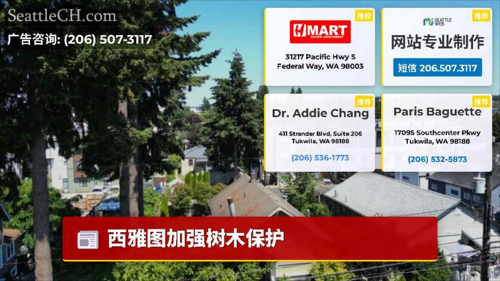 西雅图加强树木保护