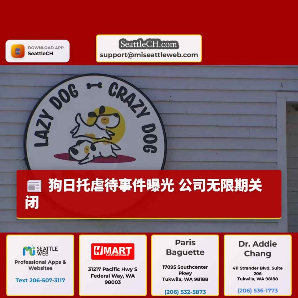 狗日托虐待事件曝光 公司无限期关闭
