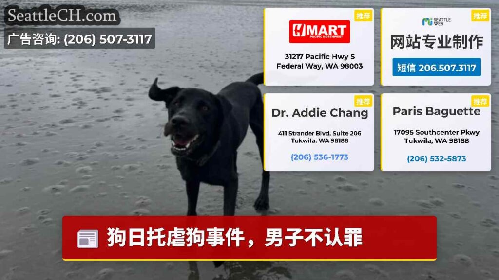 狗日托虐狗事件，男子不认罪