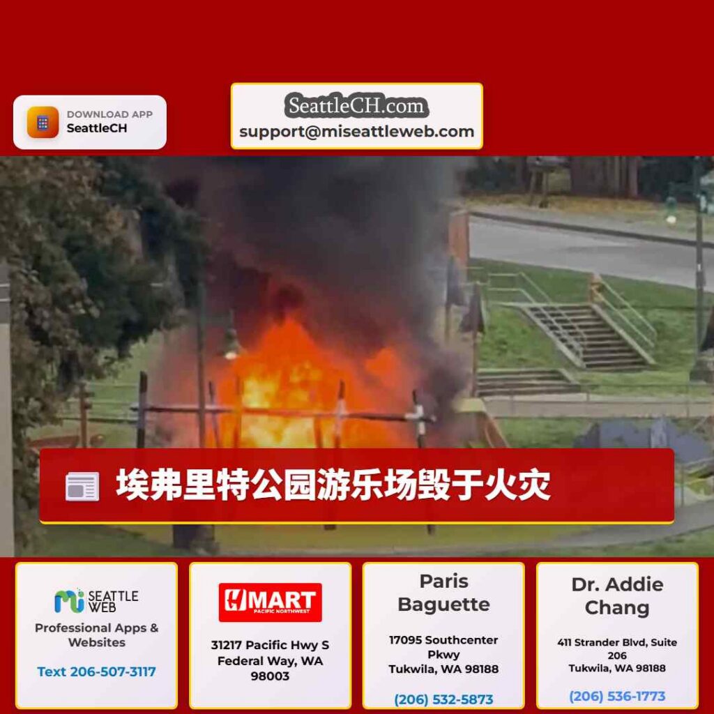 埃弗里特公园游乐场毁于火灾