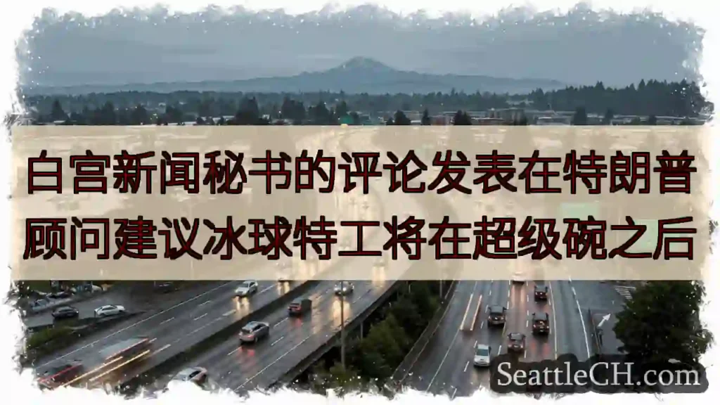 白宫新闻秘书的评论发表在特朗普顾问建议冰球特工将在超级碗之后
