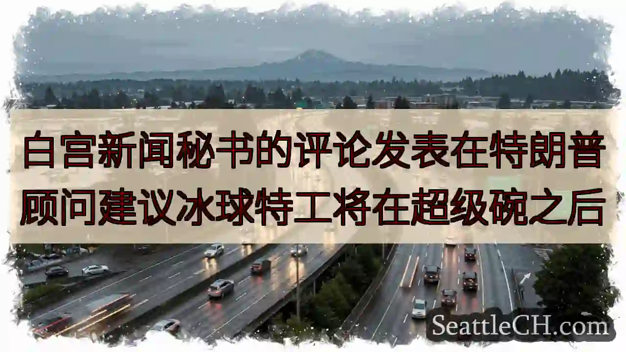 白宫新闻秘书的评论发表在特朗普顾问建议冰球特工将在超级碗之后