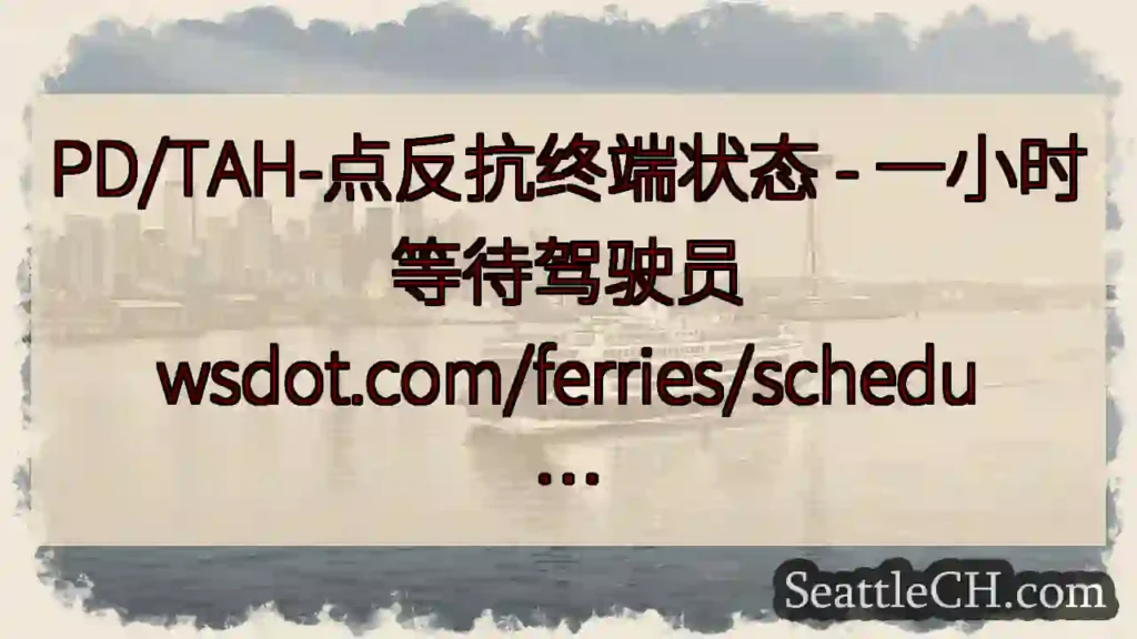 PD/TAH-点反抗终端状态 - 一小时等待驾驶员