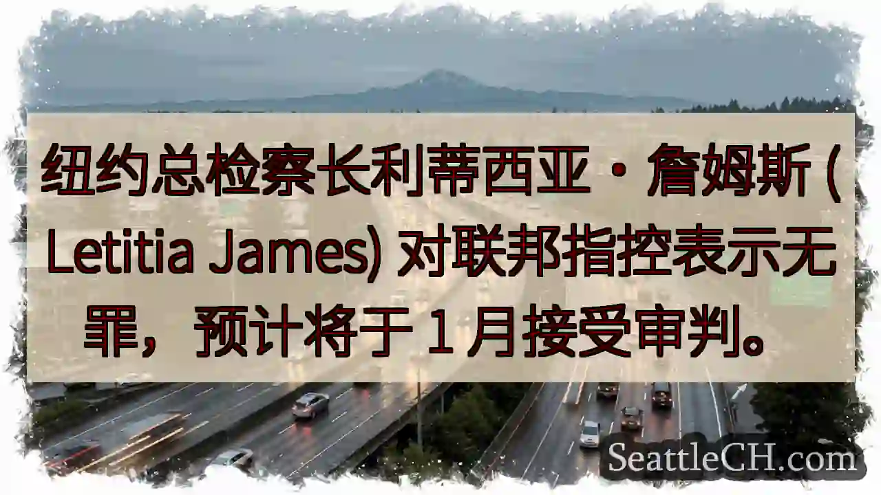 纽约总检察长利蒂西亚·詹姆斯 (Letitia James) 对联邦指控表示无罪，预计将于 1
