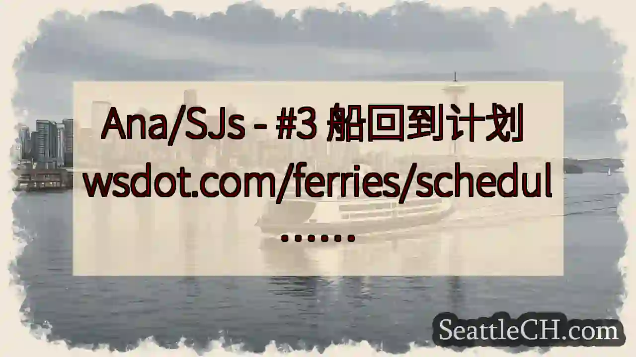 Ana/SJs - #3 船回到计划