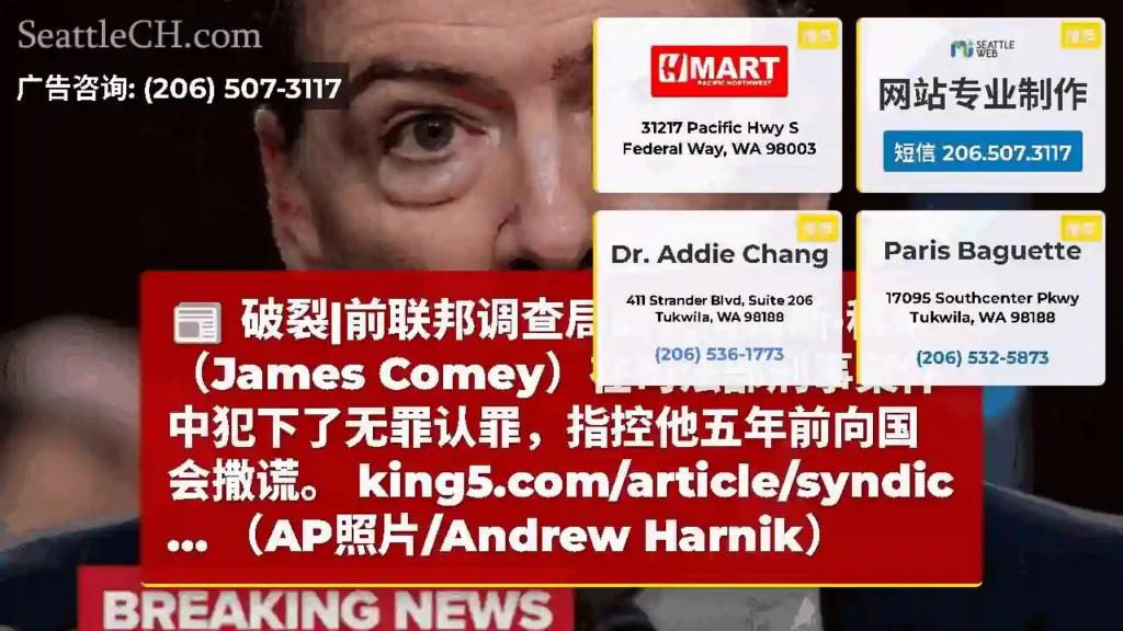 破裂|前联邦调查局局长詹姆斯·科米（James