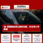 西雅图高速公路发生枪击追逐案，多名青少年被捕