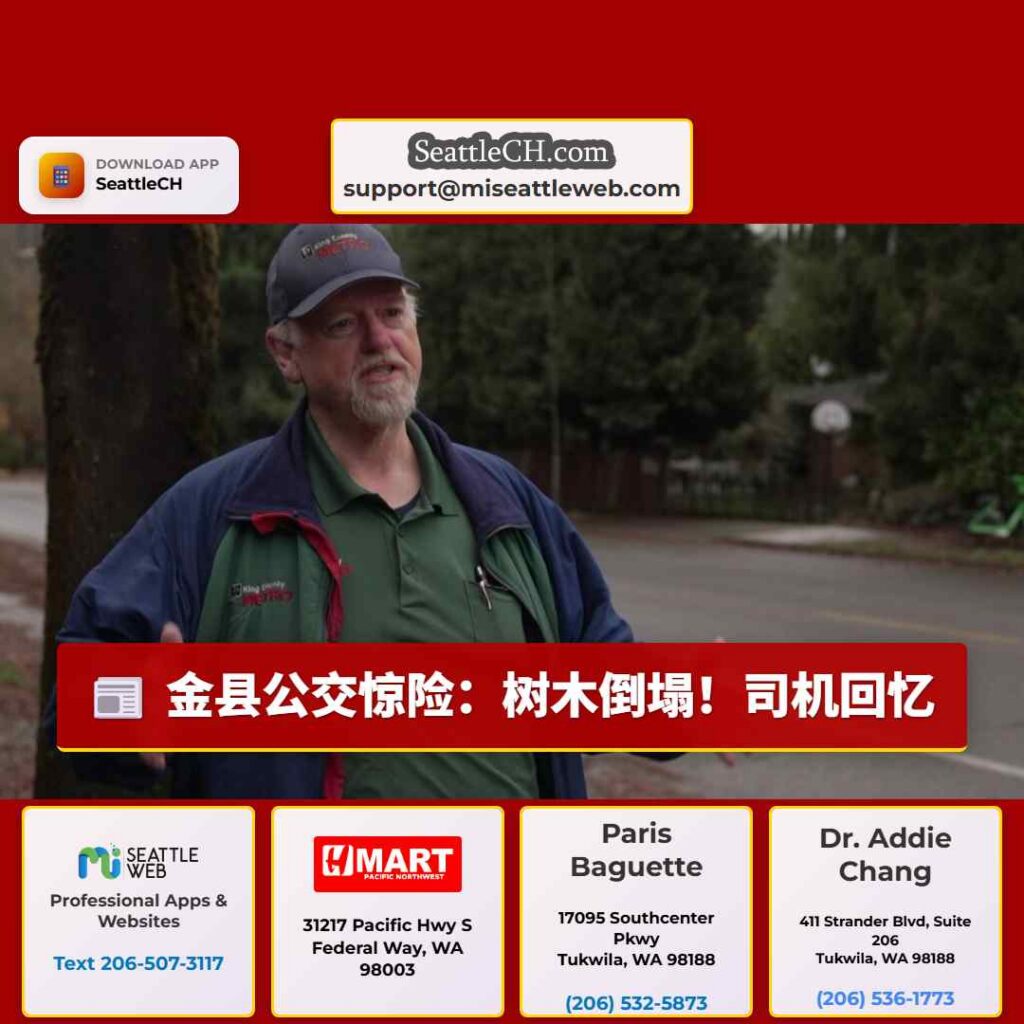 金县公交惊险：树木倒塌！司机回忆