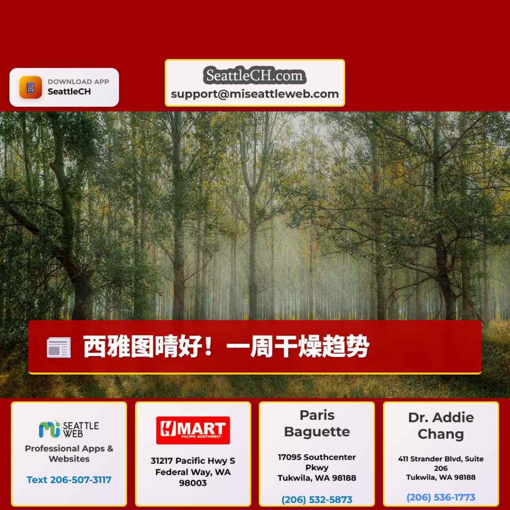 西雅图晴好！一周干燥趋势