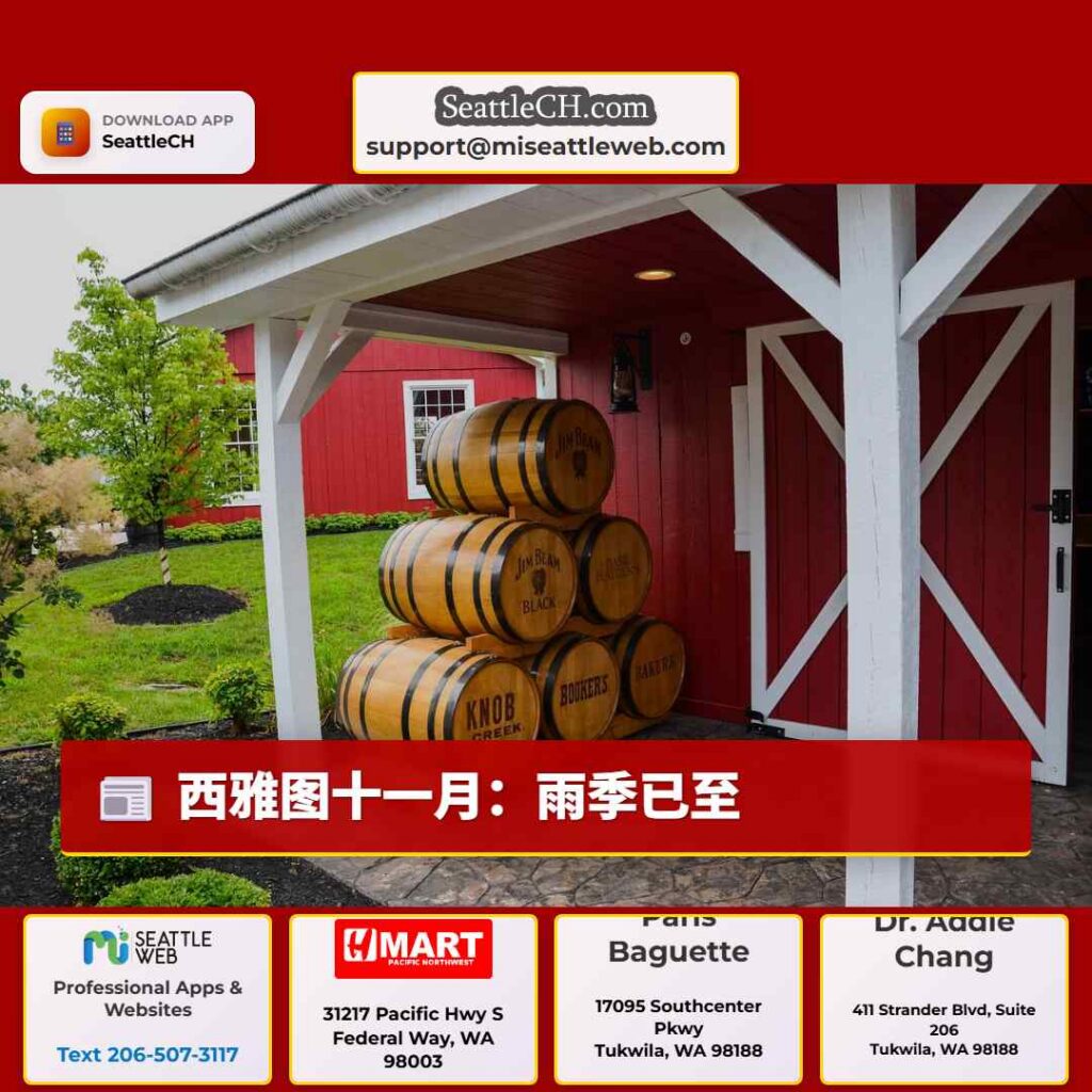 西雅图十一月：雨季已至