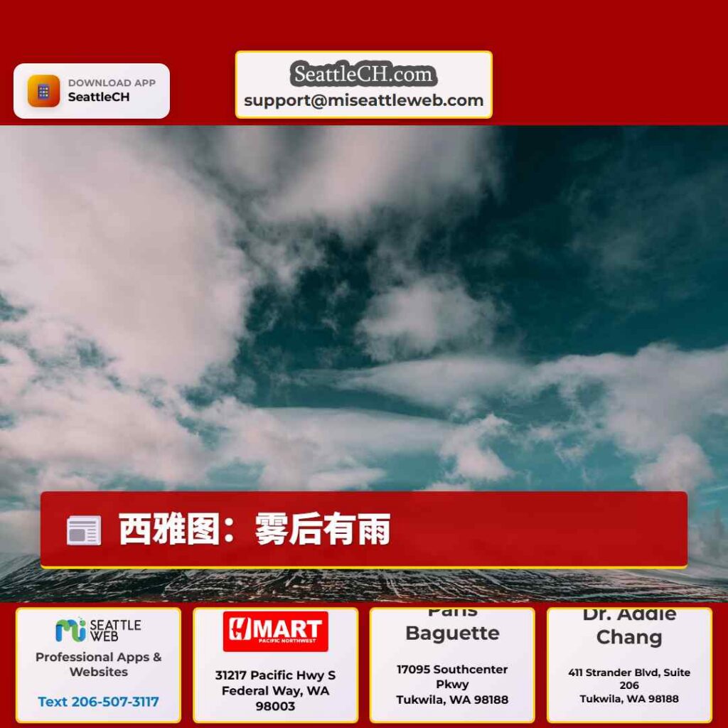 西雅图：雾后有雨