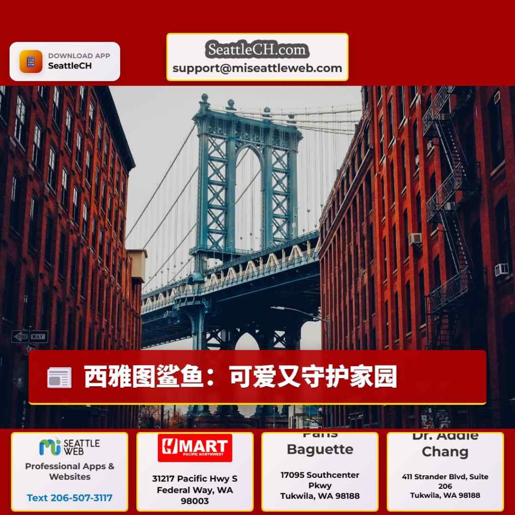 西雅图鲨鱼：可爱又守护家园