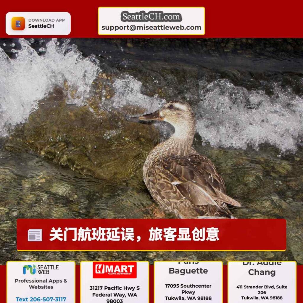 关门航班延误，旅客显创意