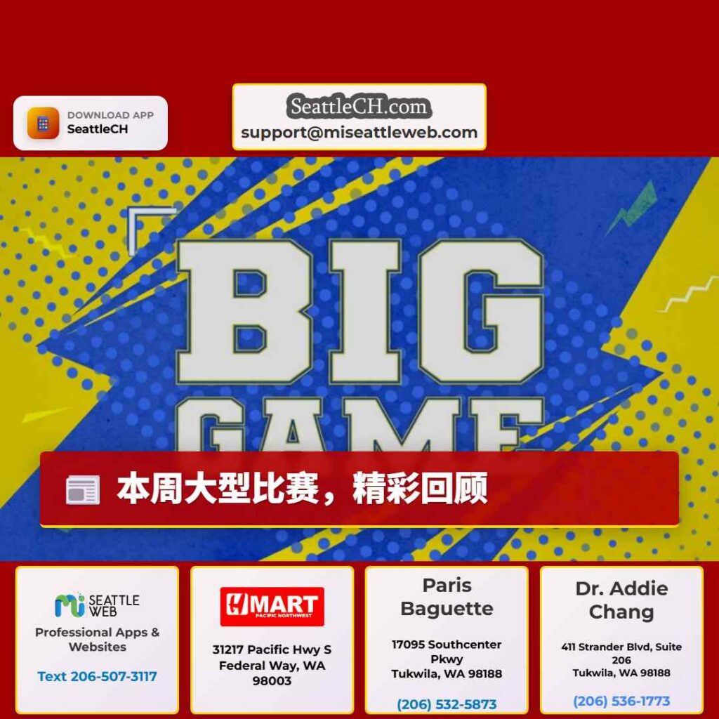 本周大型比赛,精彩回顾