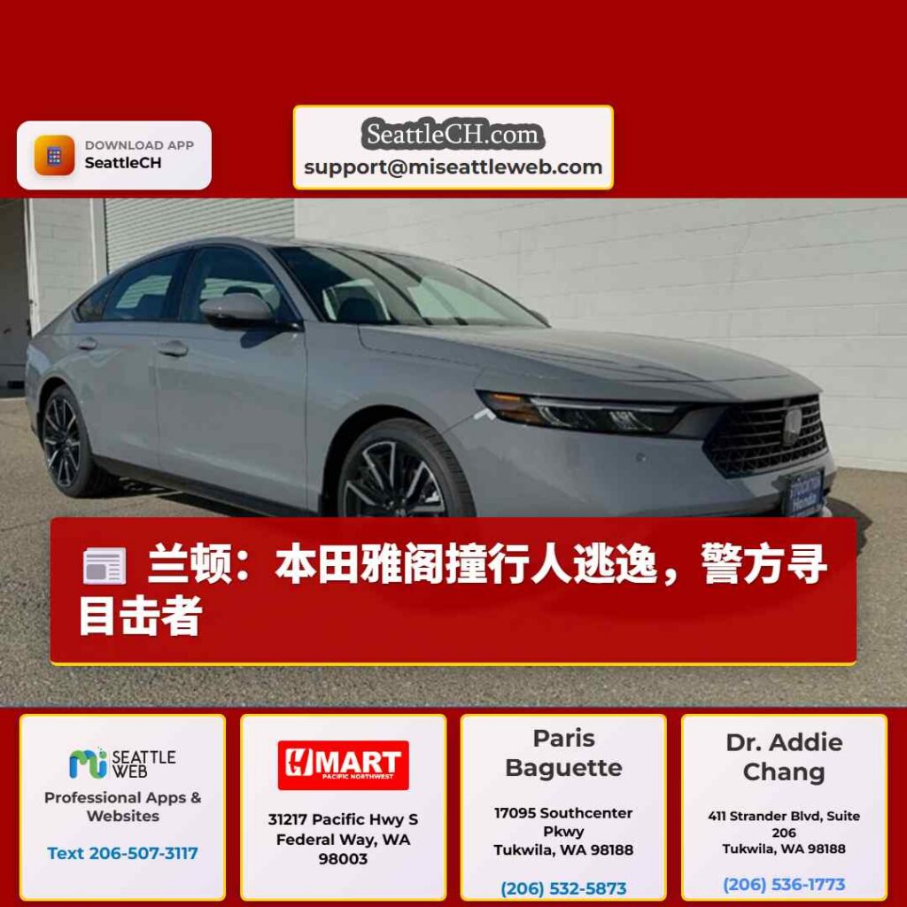 兰顿：本田雅阁撞行人逃逸，警方寻目击者