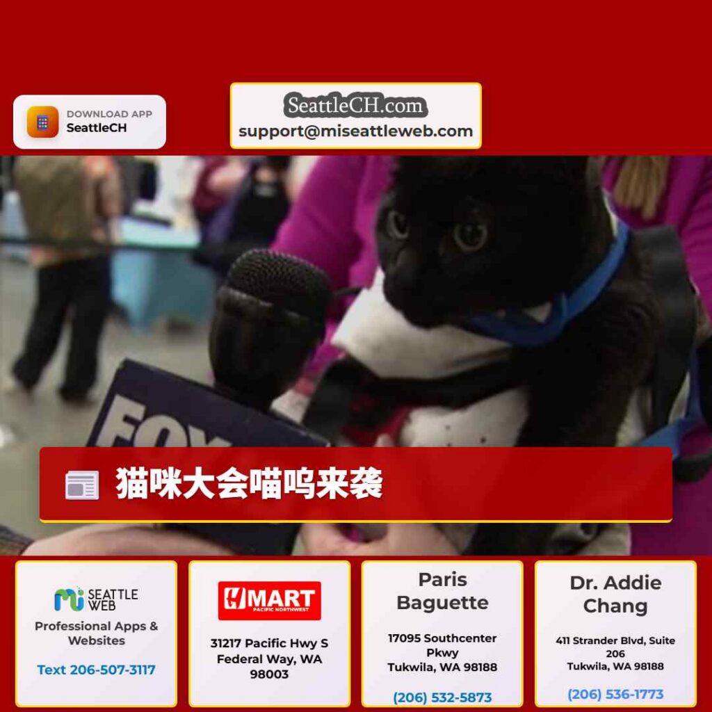 猫咪大会喵呜来袭