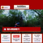 猫头鹰在华盛顿州伍丁维尔附近偷走跑步者的帽子，被摄像机拍到