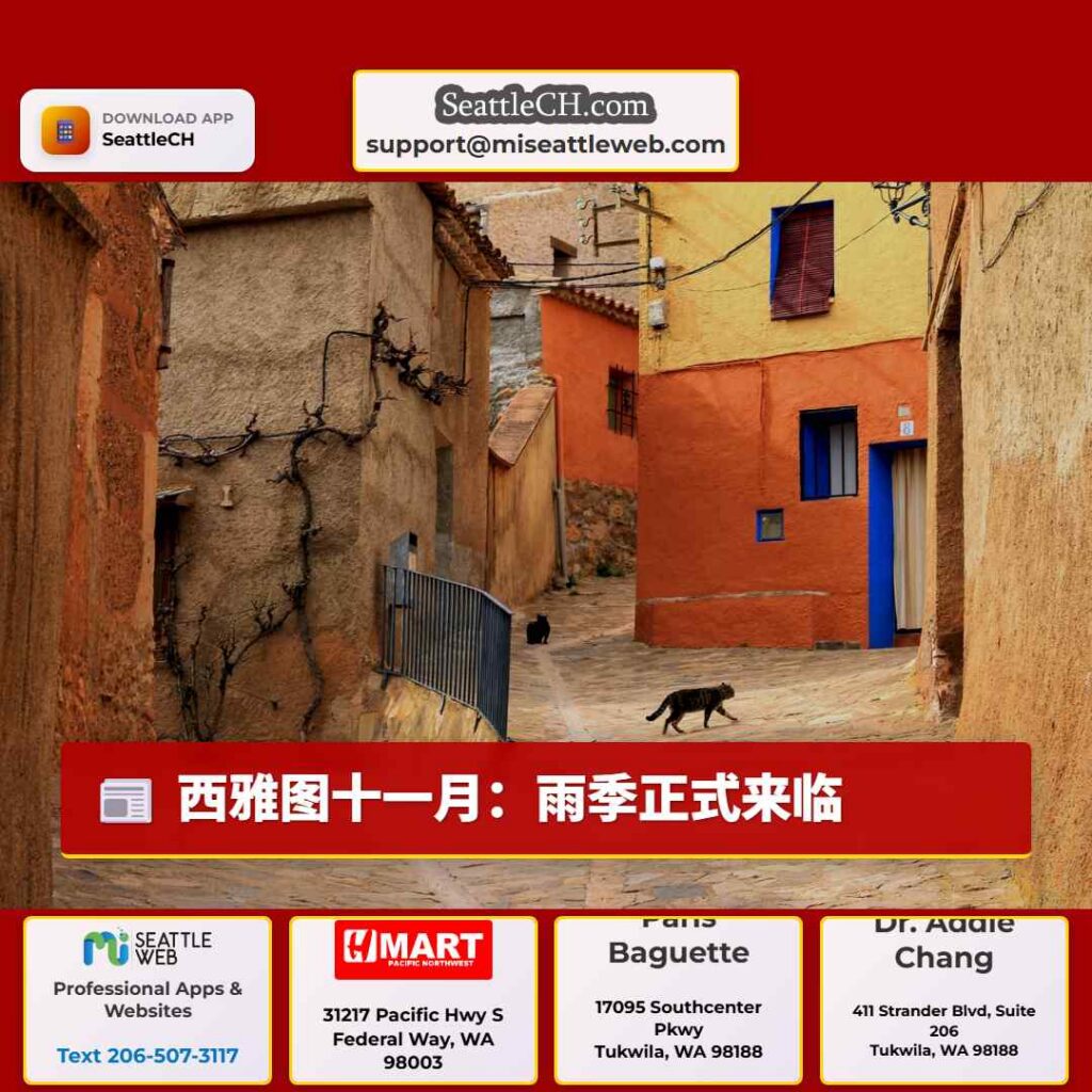 西雅图十一月:雨季正式来临