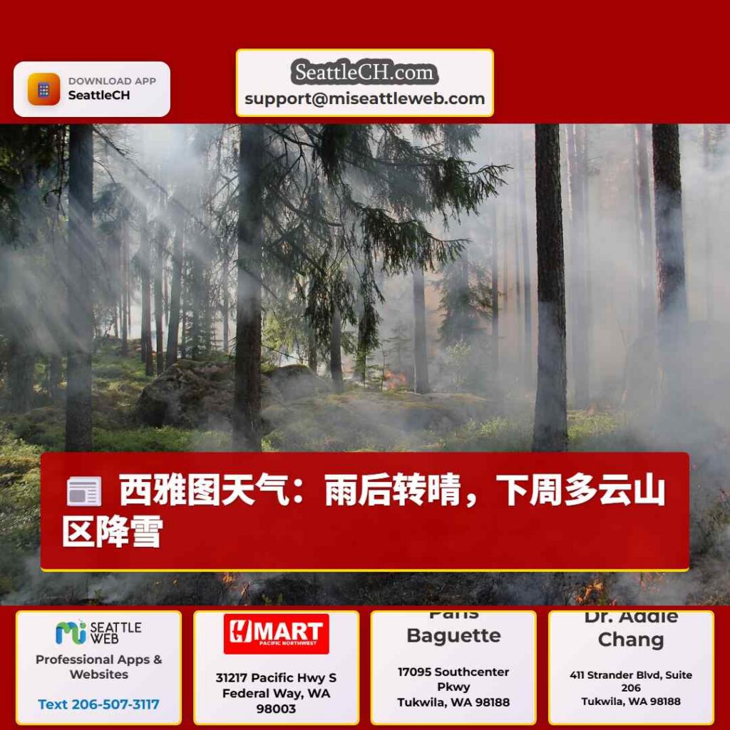 西雅图天气：雨后转晴，下周多云山区降雪