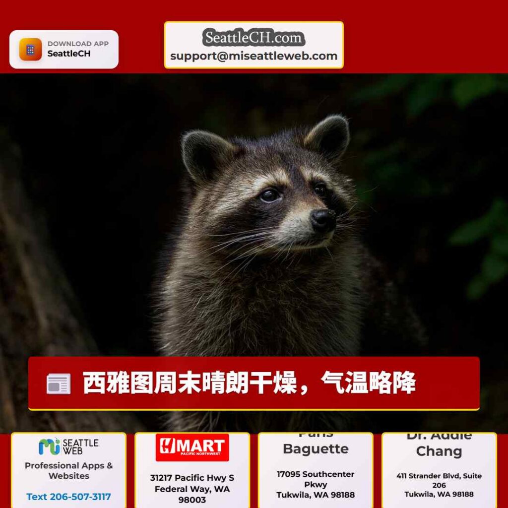 西雅图周末晴朗干燥，气温略降