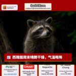 西雅图周末天气：晴朗干燥，气温略降