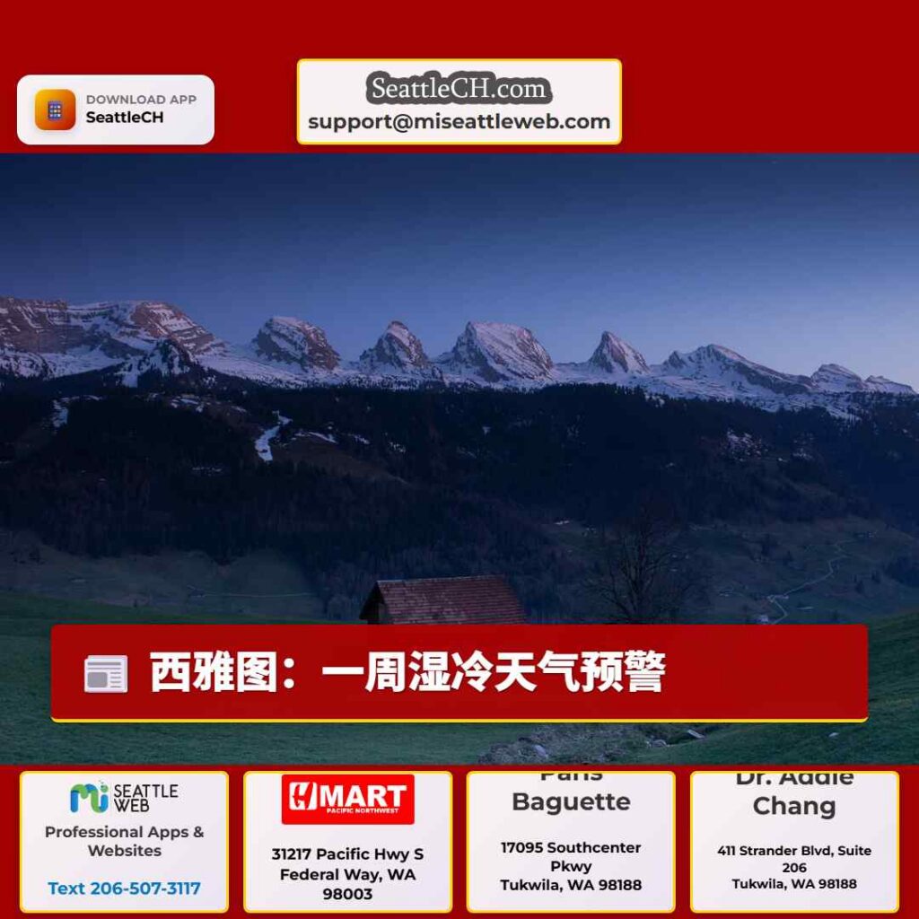 西雅图：一周湿冷天气预警