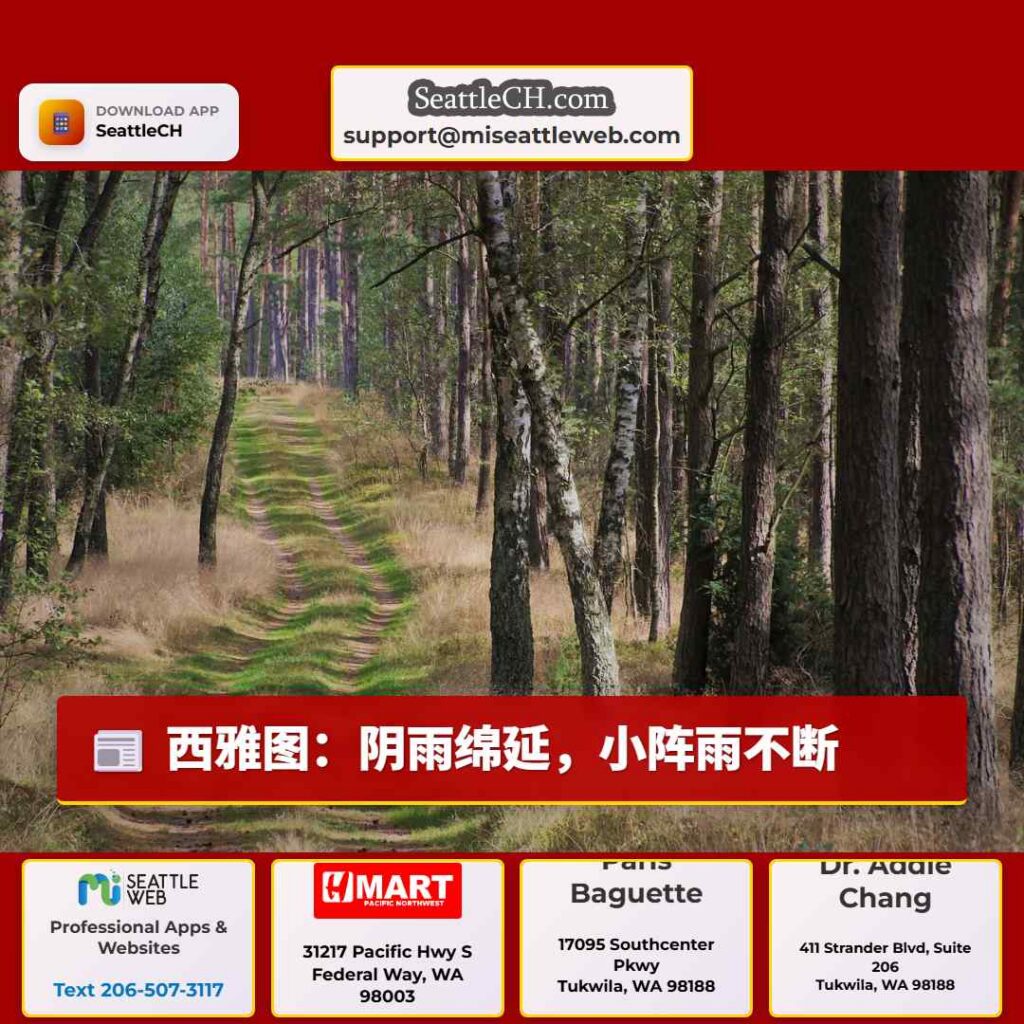 西雅图：阴雨绵延，小阵雨不断