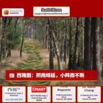 西雅图天气：降雨减少，但天空仍然灰暗