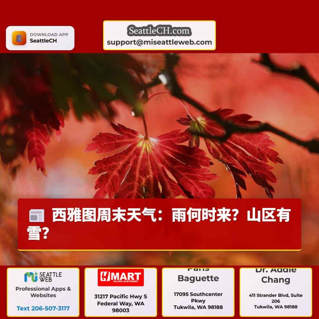 西雅图周末天气：雨何时来？山区有雪？