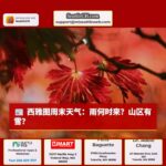 西雅图周末天气：何时降雨？山区或有积雪